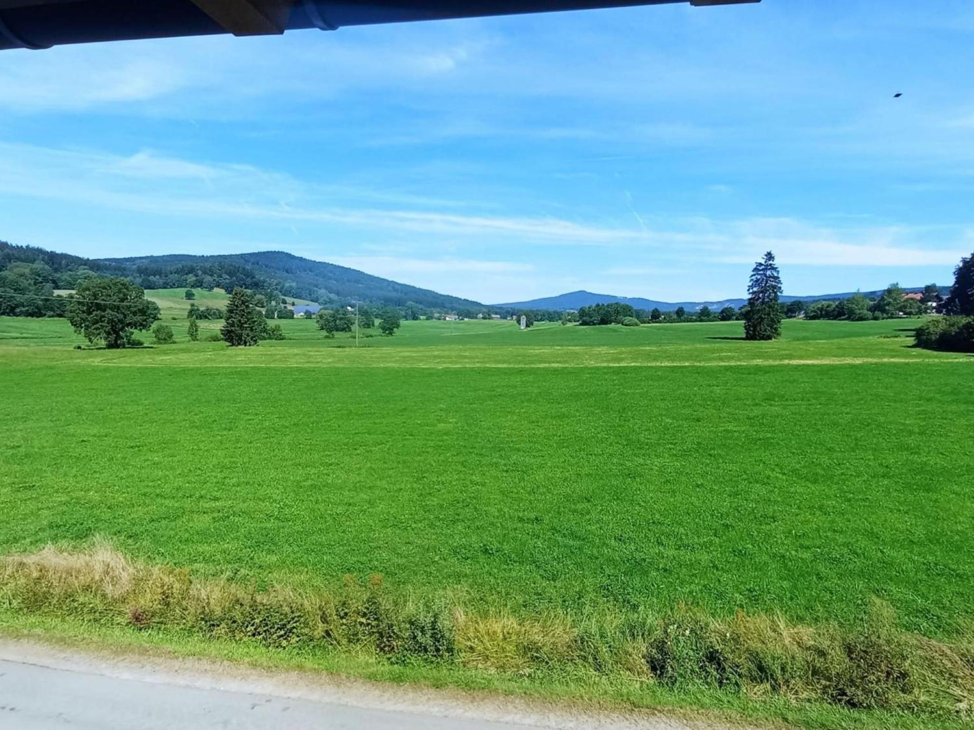 Wiesenblick Waldmuenchen